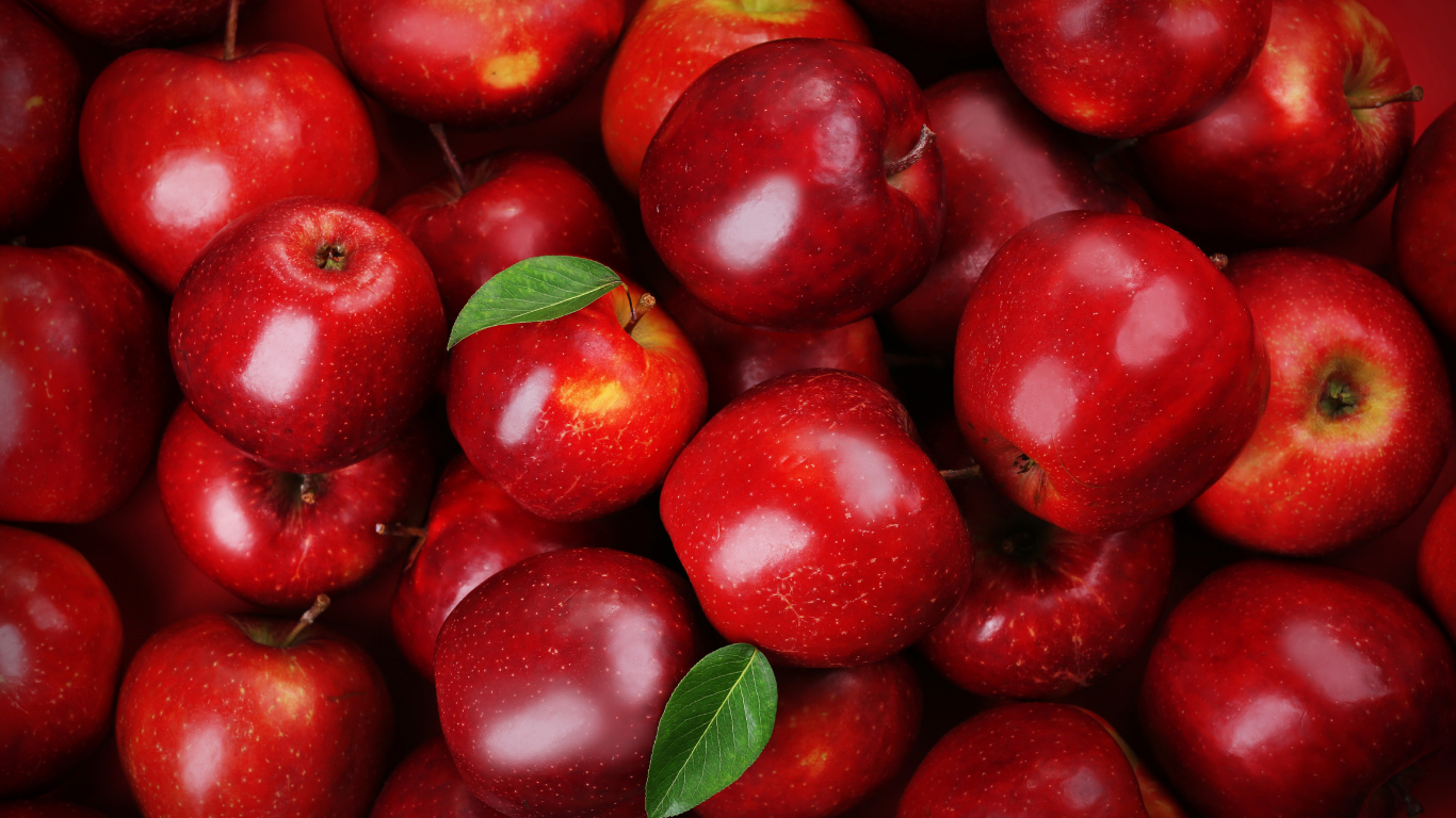 Apple Exporter India