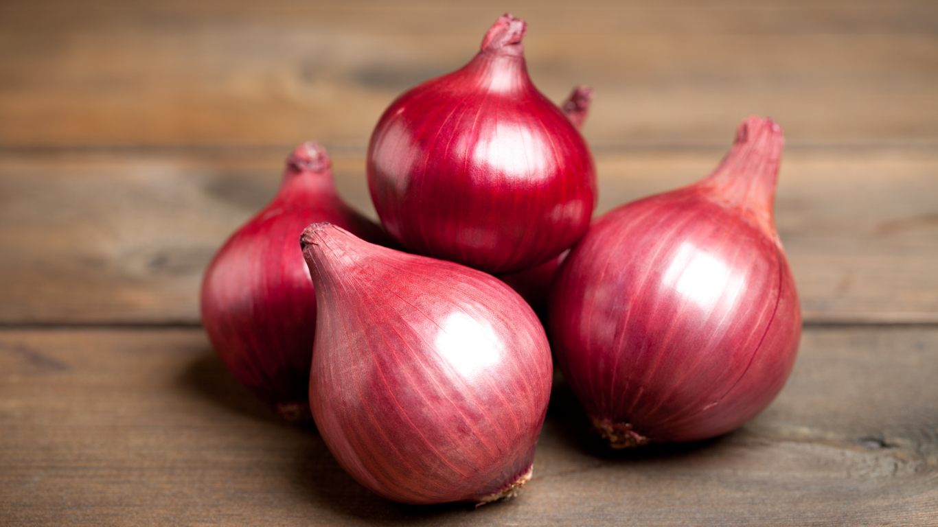 Onion Exporter India