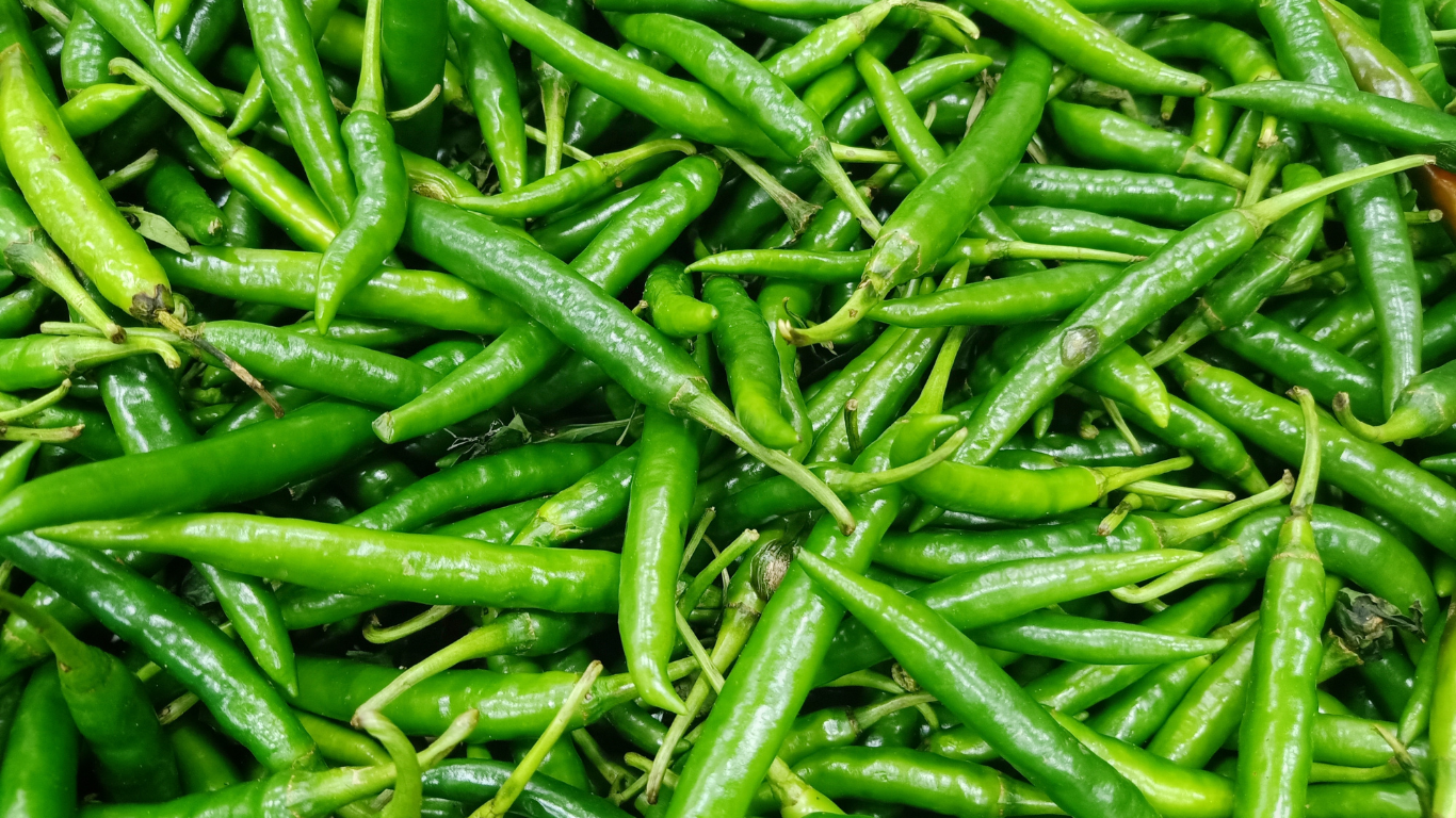 Green Chilli Exporter India