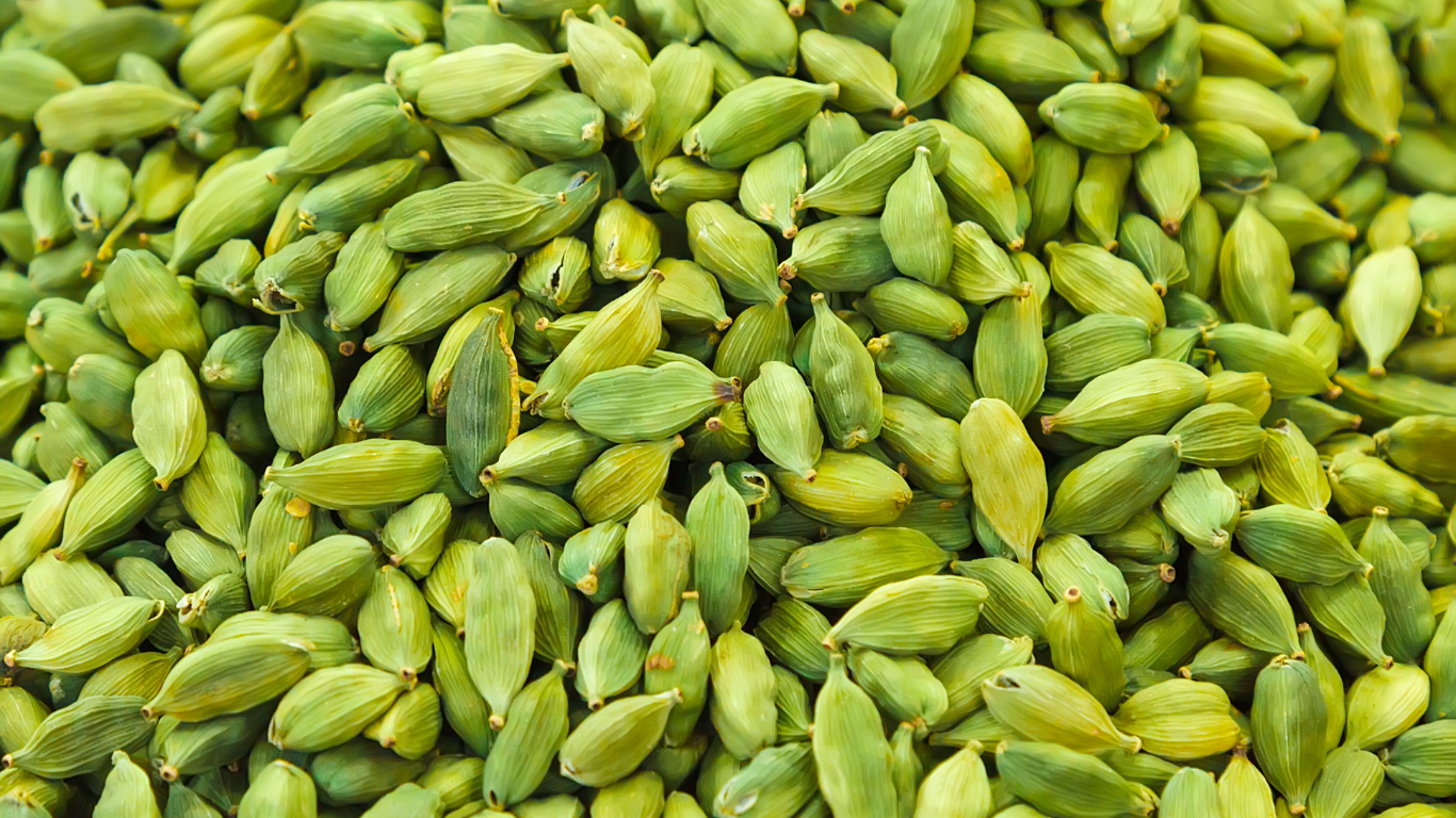 Cardamom Exporter India