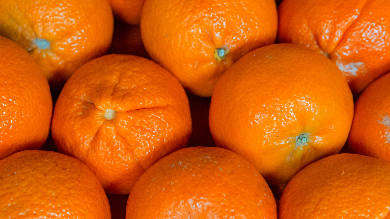 Mandarin Orange  Exporter India
