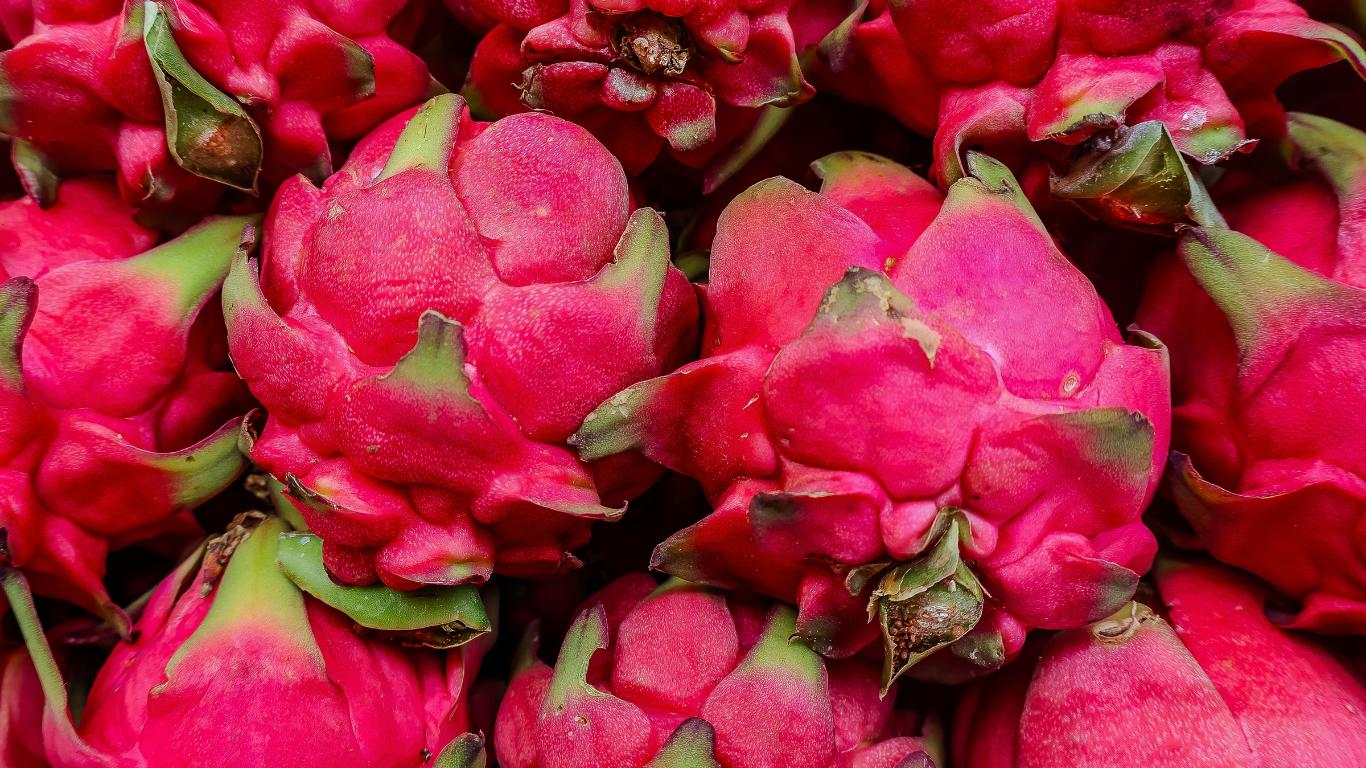 Dragon Fruit Exporter India
