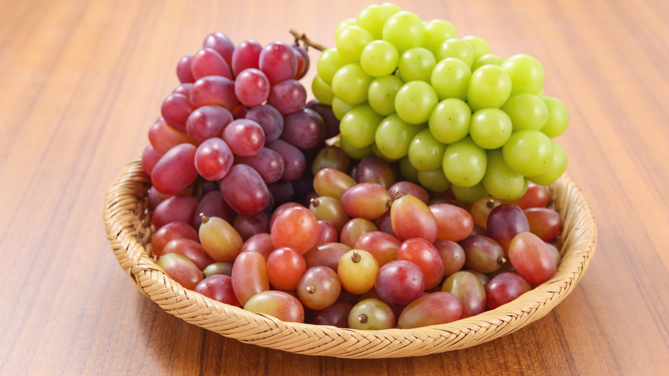 Grapes Exporter India