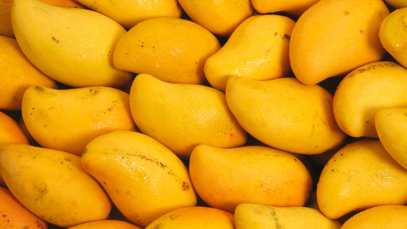 Mango Exporter India