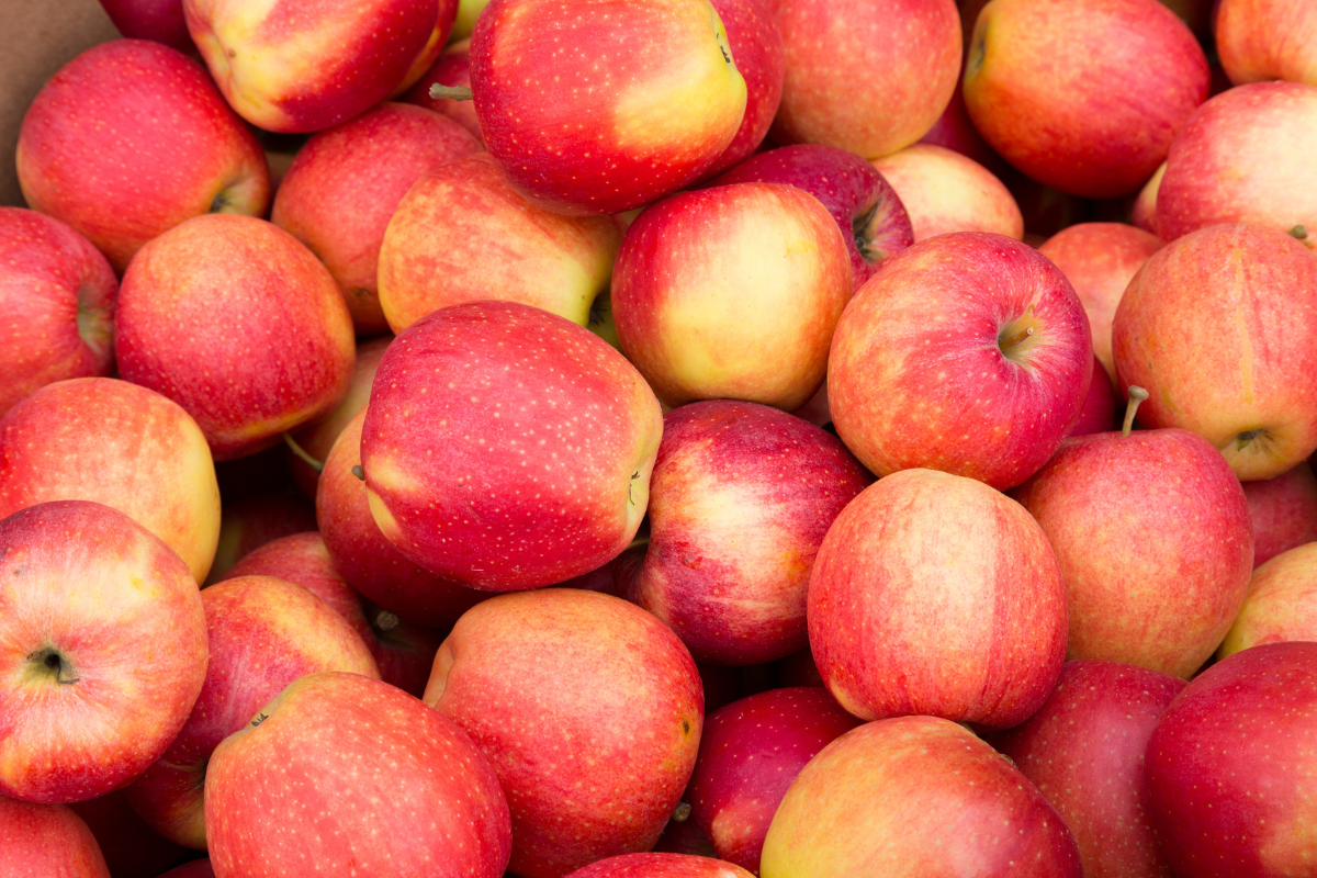 Apple Export from India