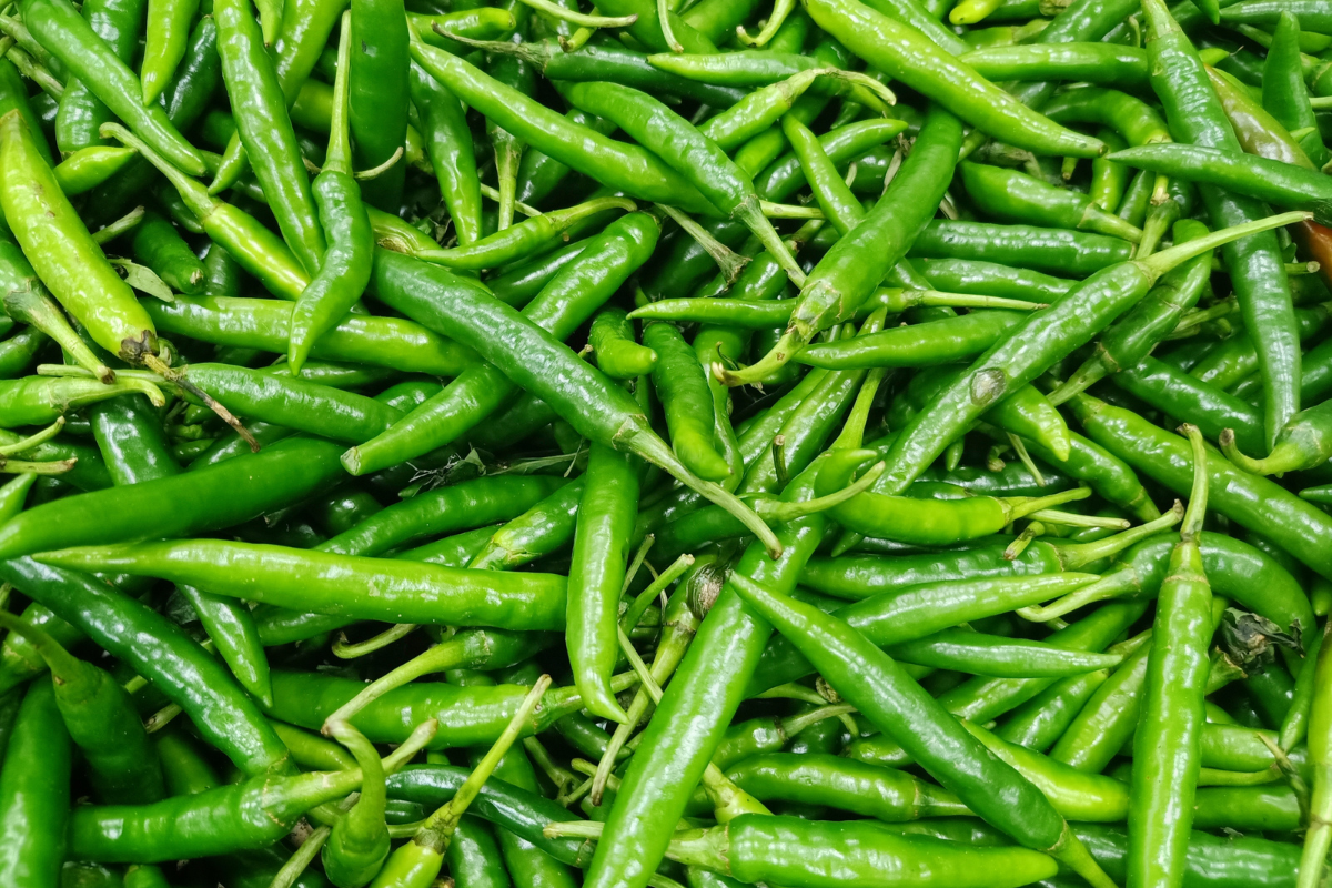 Green Chilli Export