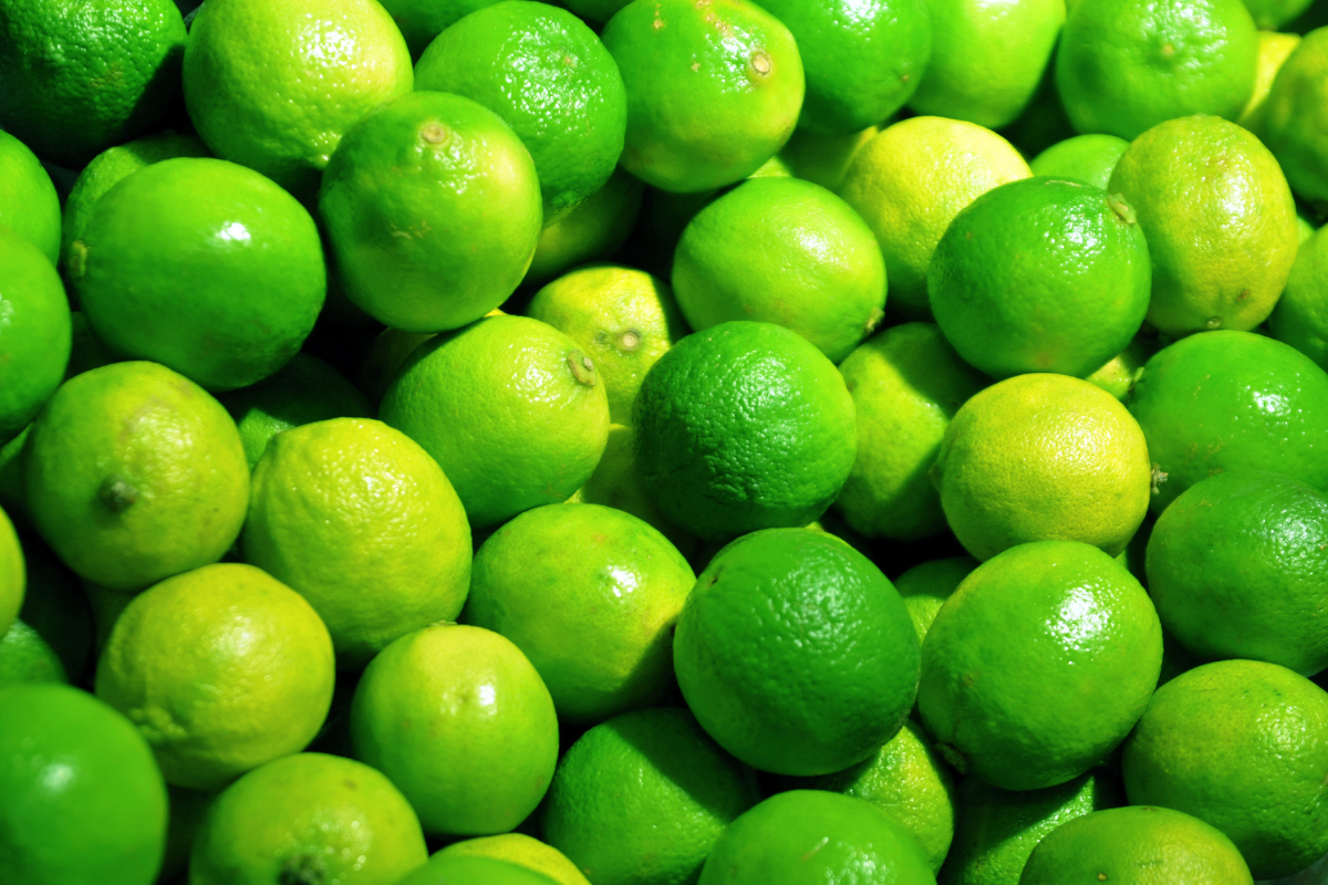 lemon Export