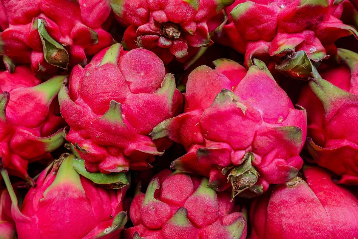 Dragon Fruit Export