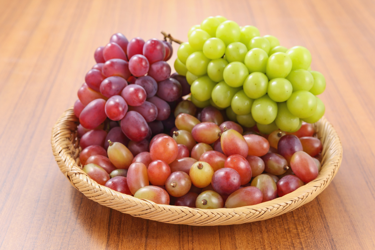 Grapes Export from India