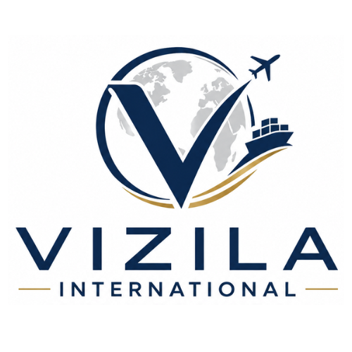 VIZILA INTERNATIONAL Logo